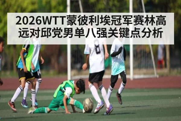 2026WTT蒙彼利埃冠军赛林高远对邱党男单八强关键点分析